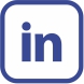 icon LinkedIn PROMER